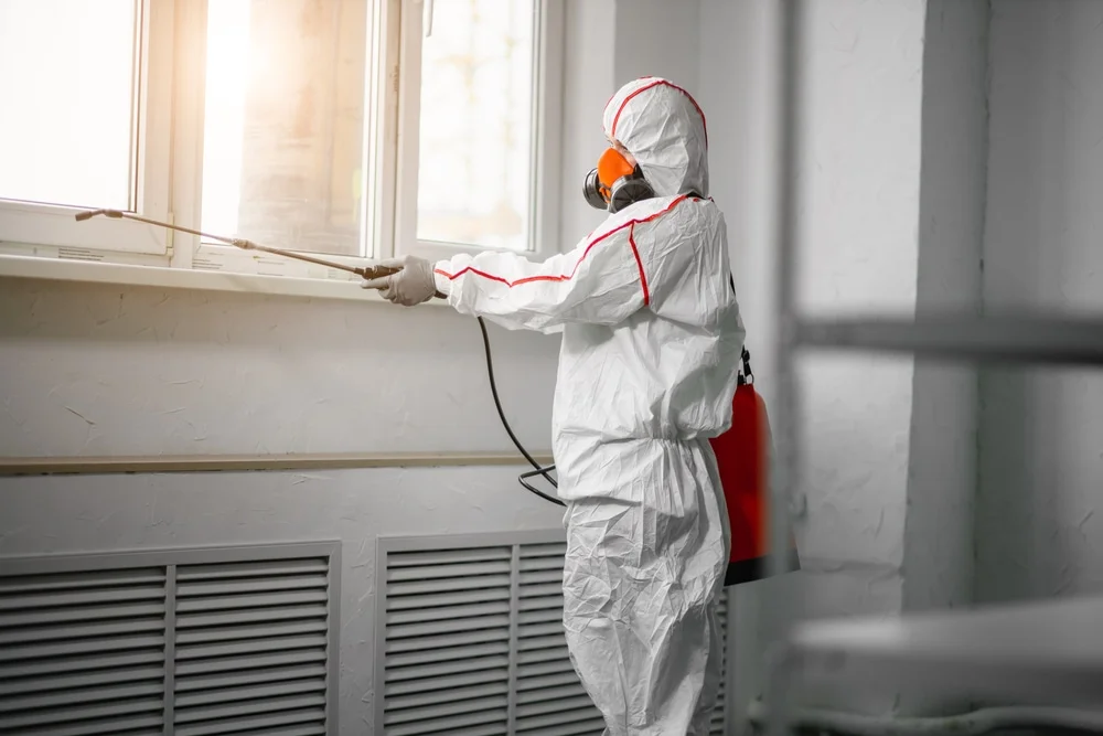 Professional mold remediation services in Montauk, NY